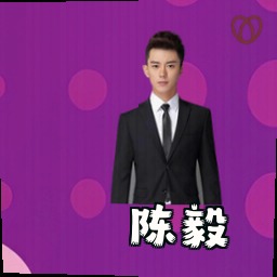 陈毅